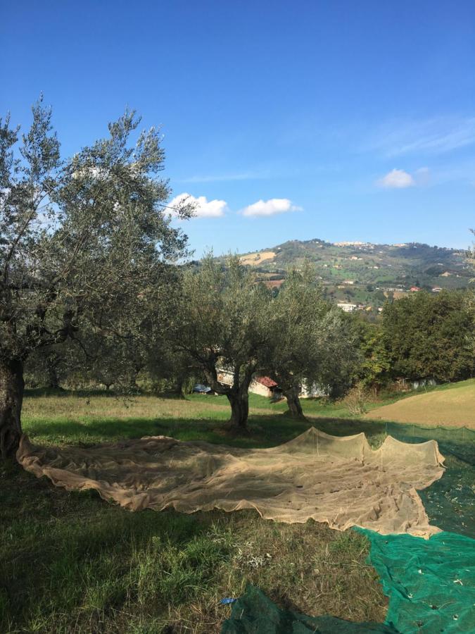 B&B La Casa Di Giuliana Cermignano Екстер'єр фото