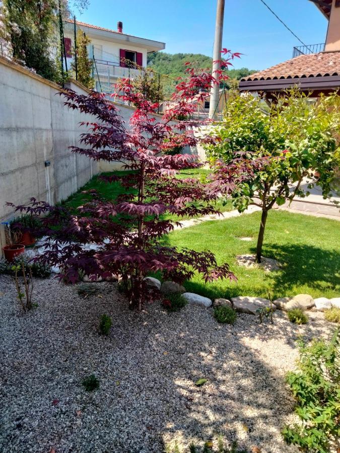 B&B La Casa Di Giuliana Cermignano Екстер'єр фото