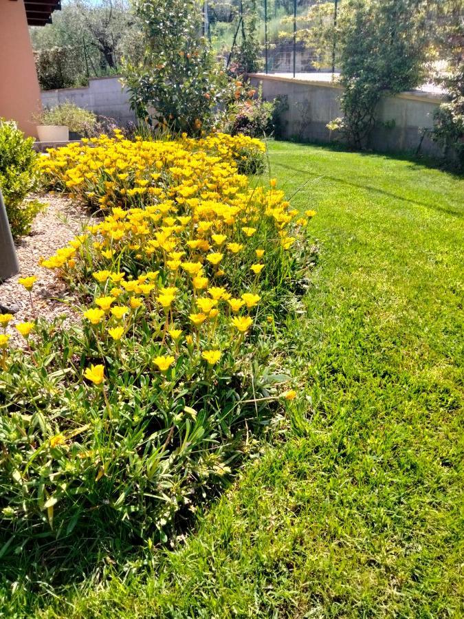 B&B La Casa Di Giuliana Cermignano Екстер'єр фото